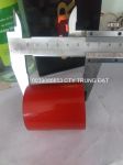 Bánh xe Nâng Tay PU Thép 60x51mm bạc đạn 6003 rs