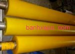 Băng tải trục pu